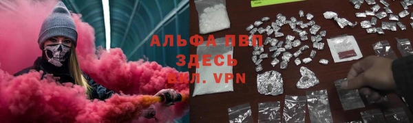 стаф Валдай
