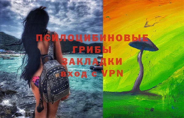 гидра Краснослободск
