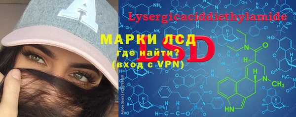 гидра Краснослободск