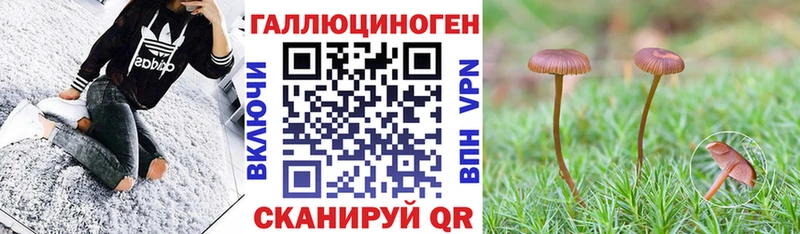что такое наркотик  Кораблино  Галлюциногенные грибы мухоморы 
